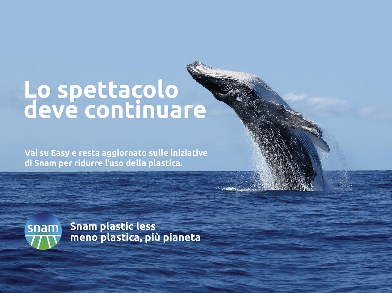 Plastic Less